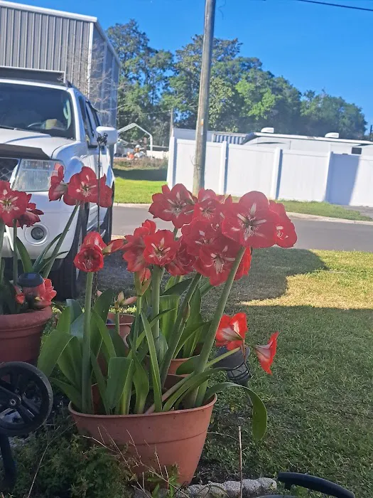 Singleton Mobile Home Park Picture 4