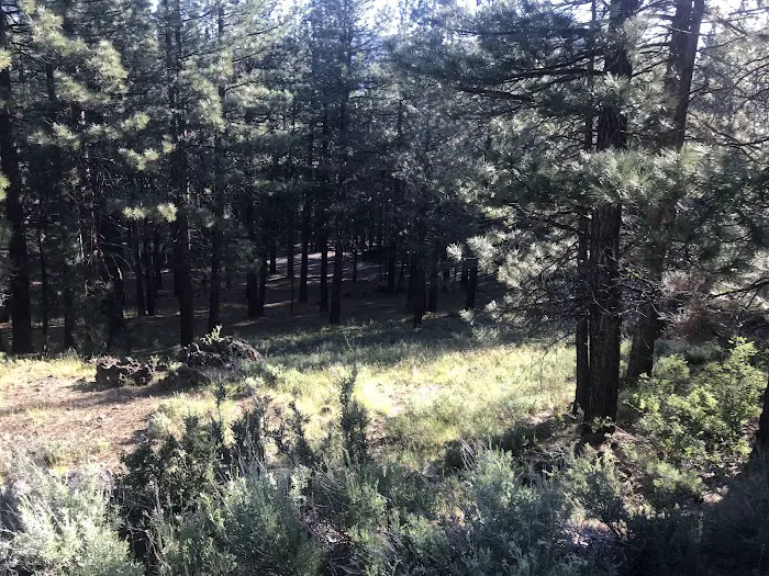 Frenchman Campground Picture 9