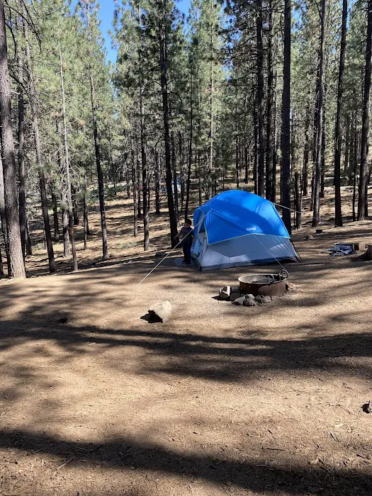 Frenchman Campground Picture 8
