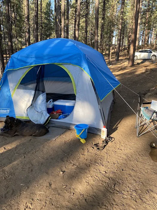 Frenchman Campground Picture 10