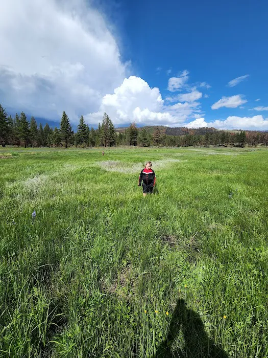 Frenchman Campground Picture 1