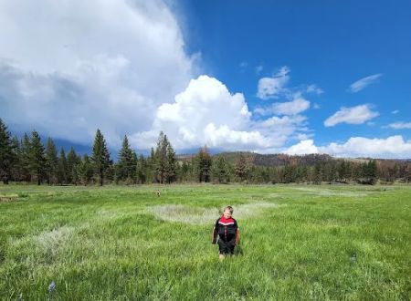 Frenchman Campground