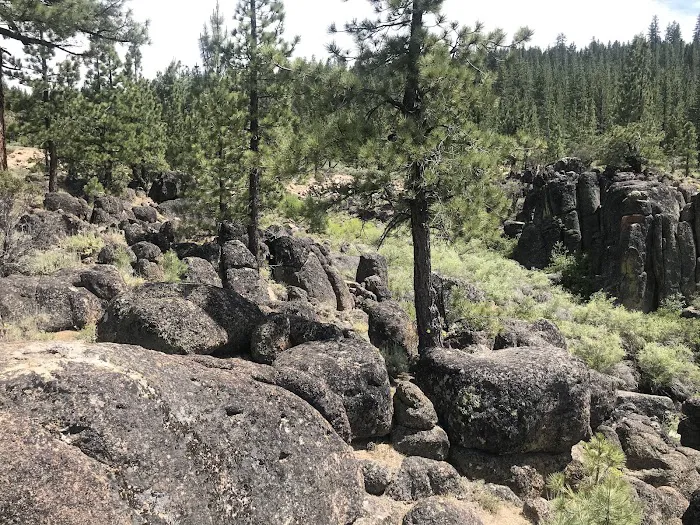 Spring Creek Campground Picture 6