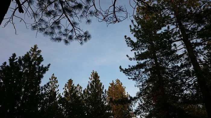Spring Creek Campground Picture 3