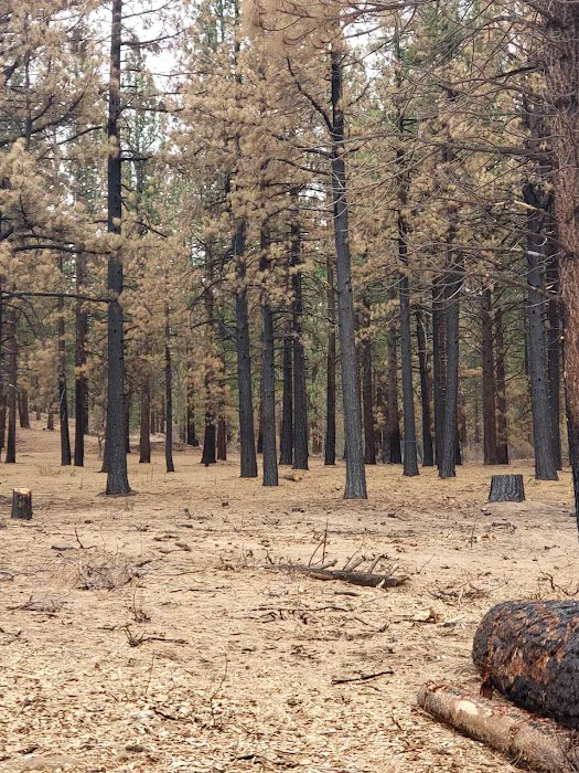 Big Cove Campground Picture 6