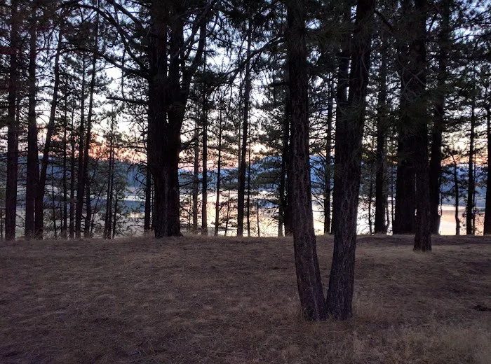 Big Cove Campground Picture 10