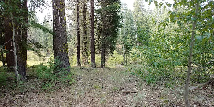 Big Cove Campground Picture 9