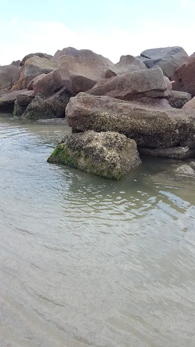 Host at Pelican Cove RV Park Picture 5