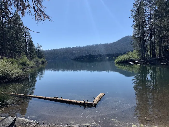 Butte Lake Campground Picture 3