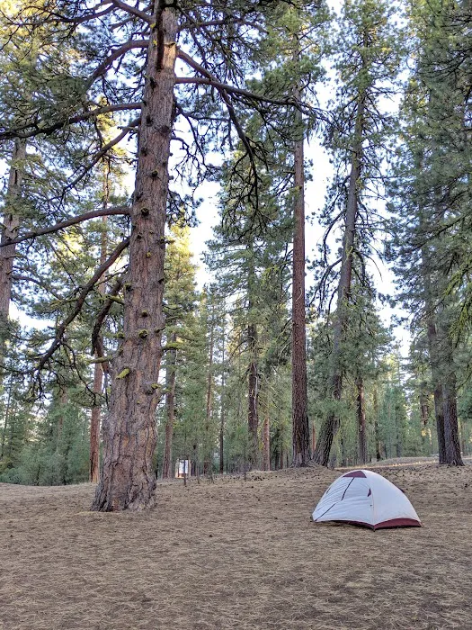 Butte Lake Campground Picture 10