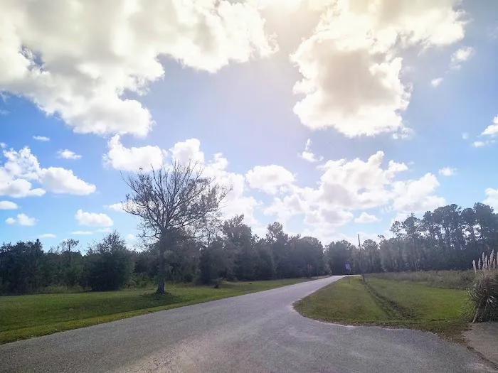 Horne Lake RV Resort Picture 4