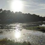 Eagle Hammock RV Park