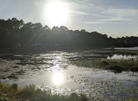Eagle Hammock RV Park