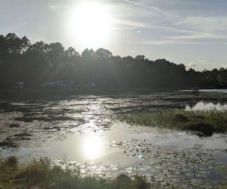 Eagle Hammock RV Park