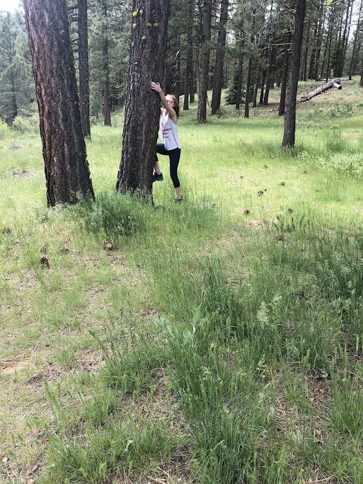 Roxie Peconom Campground Picture 5