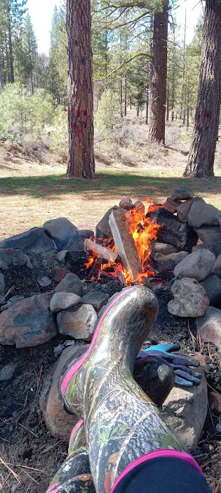 Roxie Peconom Campground Picture 8