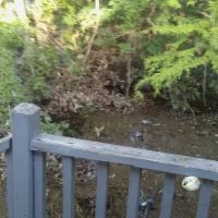 Colerain Oaks Rental Homes ico