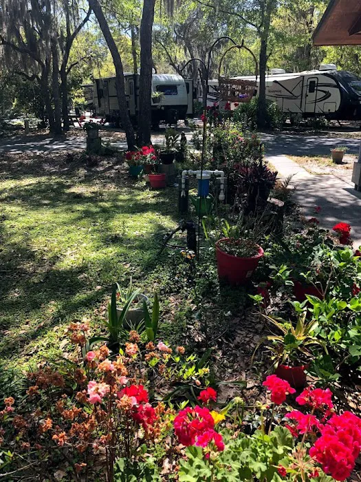 A Big Wheel RV Park Picture 3