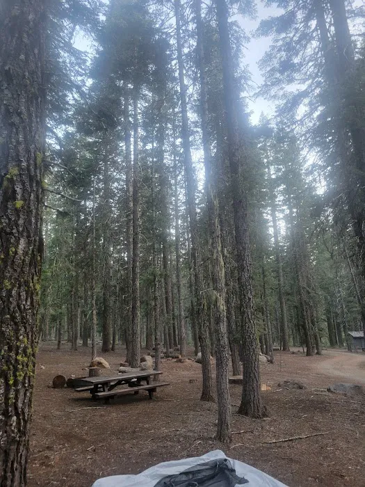 North Battle Creek Campground Picture 1