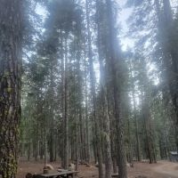 North Battle Creek Campground ico