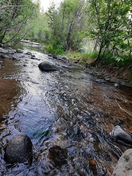 Big Pine Campground Picture 4