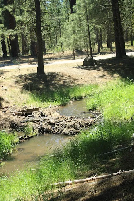 Big Pine Campground Picture 7