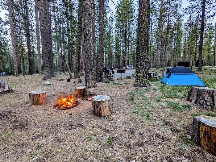 Big Pine Campground Picture 5