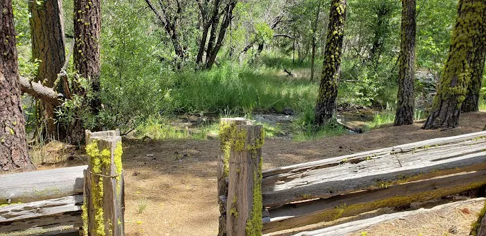 Big Pine Campground Picture 6