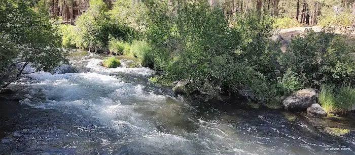 Old Station Campground Picture 4