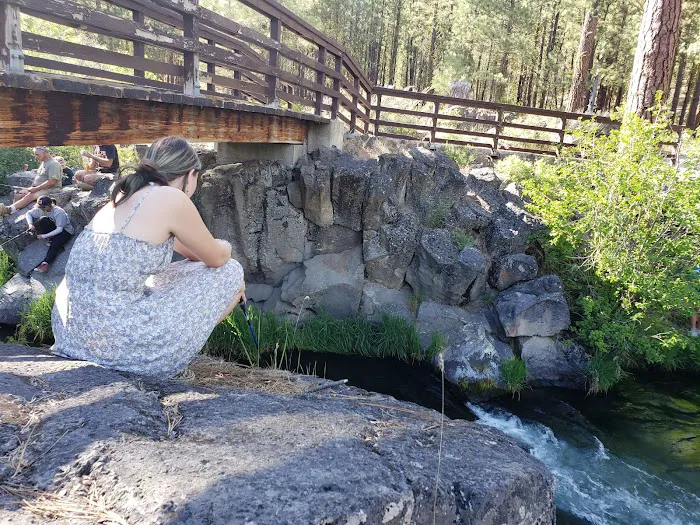 Old Station Campground Picture 10