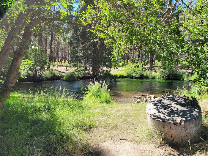 Hat Creek Campground Picture 3