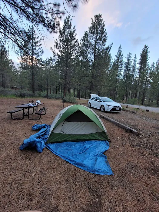 Hat Creek Campground Picture 4