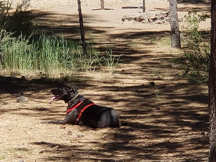 Hat Creek Campground Picture 6