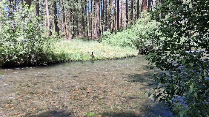 Cave Campground Picture 5