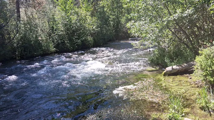 Cave Campground Picture 9