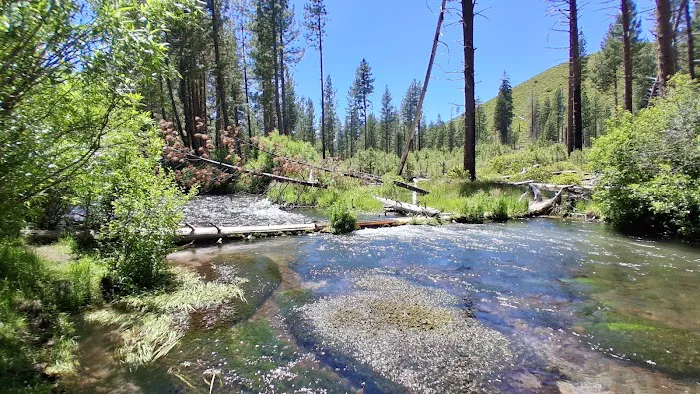 Cave Campground Picture 2