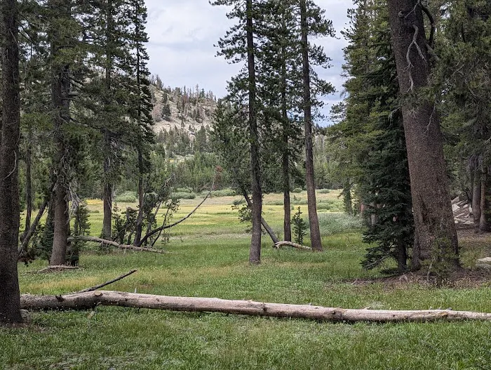 Mt. Rose Campground Picture 8