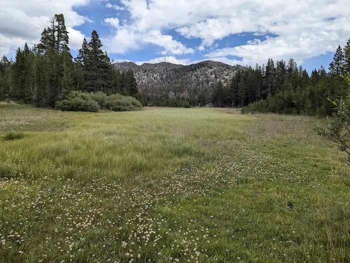 Mt. Rose Campground Picture 5