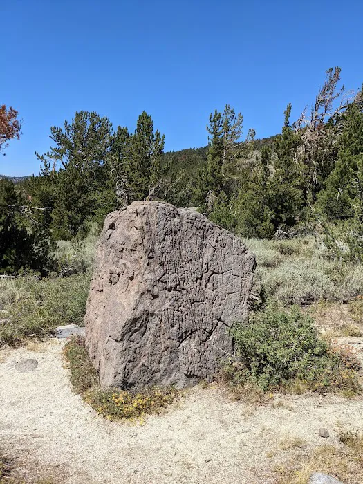 Mt. Rose Campground Picture 10