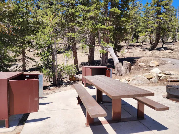 Mt. Rose Campground Picture 3