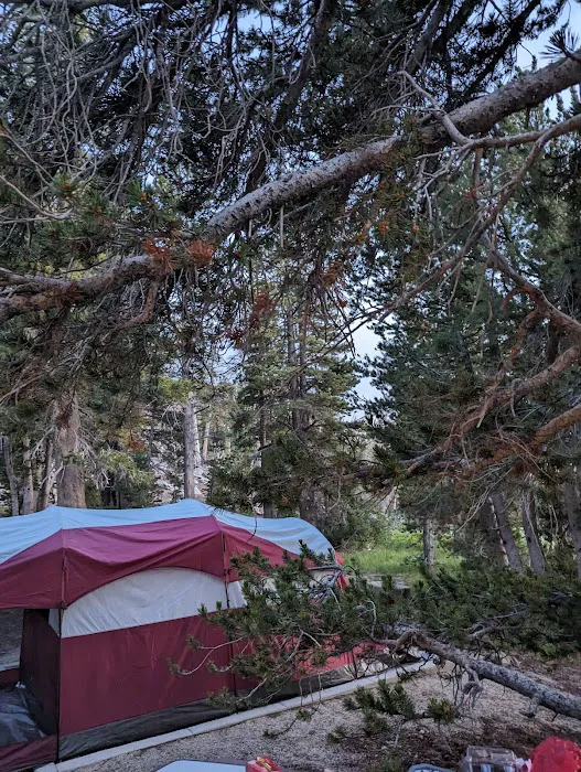 Mt. Rose Campground Picture 7