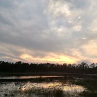 Southernaire ico