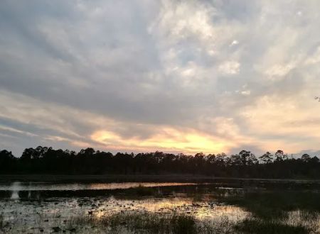 Southernaire