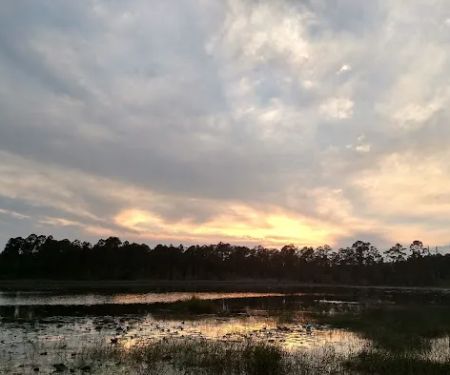 Southernaire
