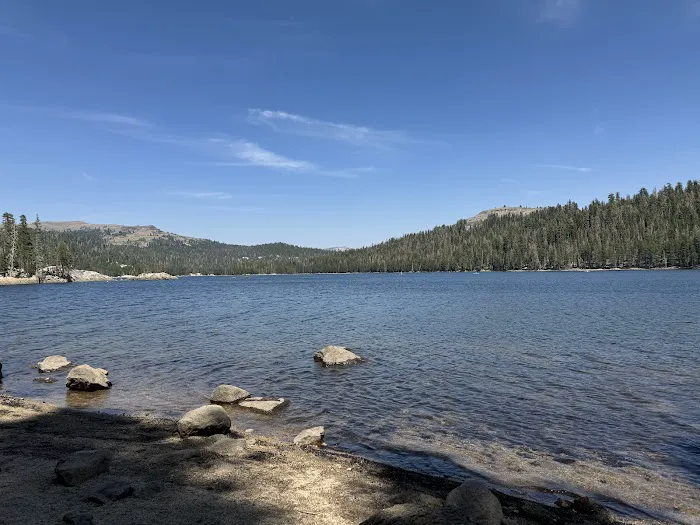 Stanislaus River Campground Picture 5