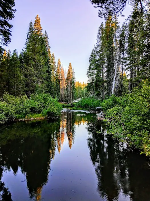 Stanislaus River Campground Picture 10