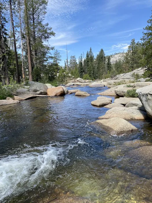 Stanislaus River Campground Picture 3