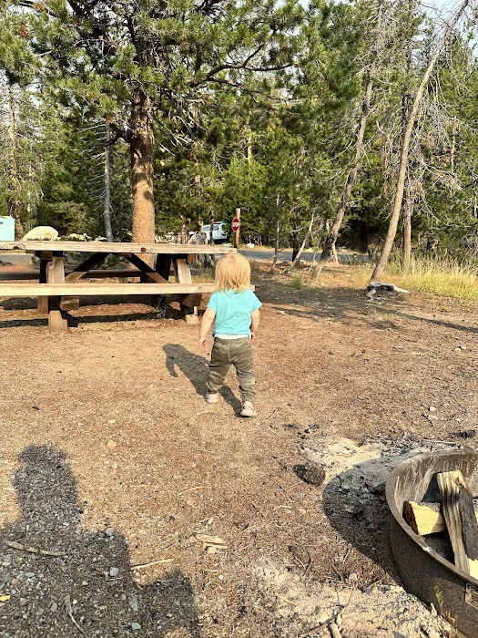 Spicer Meadow Campground Picture 10