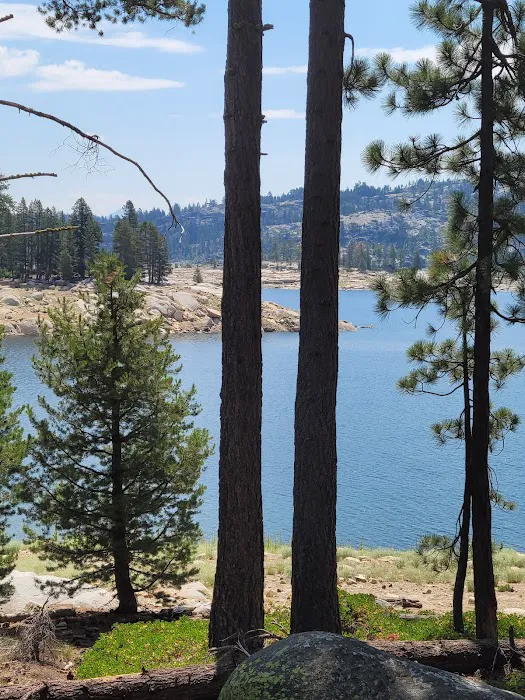 Spicer Meadow Campground Picture 5