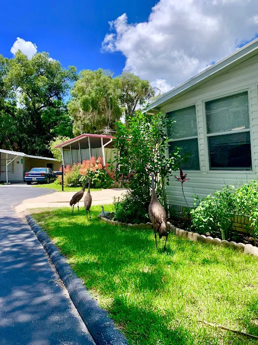 Land O' Lakes Mobile Home Community Picture 8